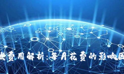 区块链APP开发费用解析：每月花费的影响因素与预算指南