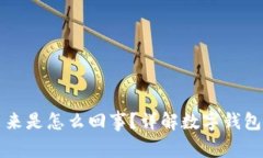 TPWallet多钱出来是怎么回事？详解数字钱包的安全