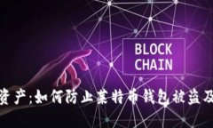 保护你的加密资产：如何防止莱特币钱包被盗及