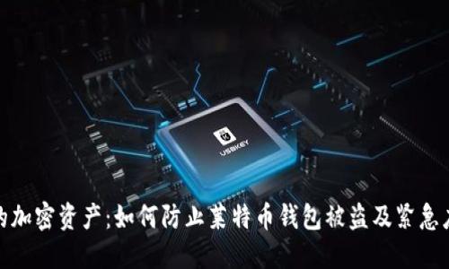 保护你的加密资产：如何防止莱特币钱包被盗及紧急应对措施