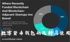 中国数字货币钱包的选择与使用指南