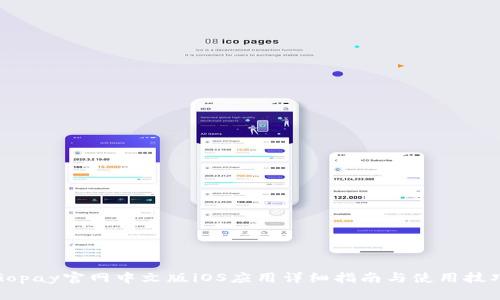 Gopay官网中文版iOS应用详细指南与使用技巧