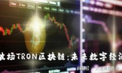 深入了解波场TRON区块链：未来数字经济的新引擎