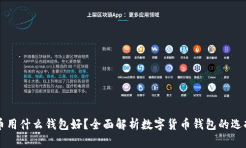 买虚拟币用什么钱包好？全面解析数字货币钱包的选择与使用