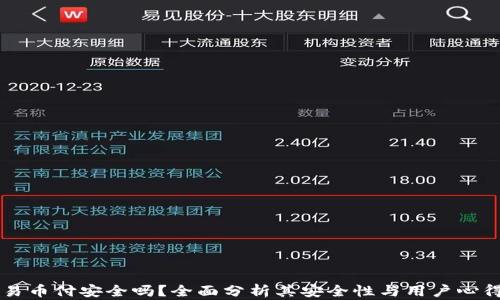 
易币付安全吗？全面分析其安全性与用户心得