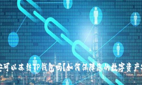 公安可以冻结TP钱包吗？如何保障您的数字资产安全