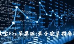 免费下载波宝Pro苹果版：最全安装指南与使用解