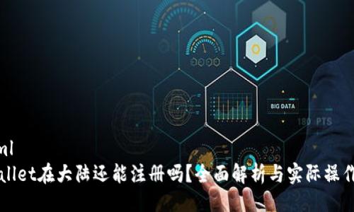 ```xml
TPWallet在大陆还能注册吗？全面解析与实际操作指南