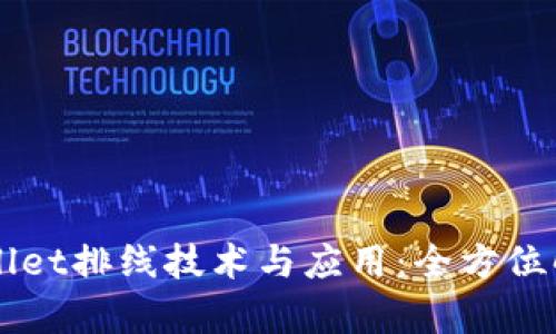 深入解析TPWallet排线技术与应用：全方位解读与使用指南