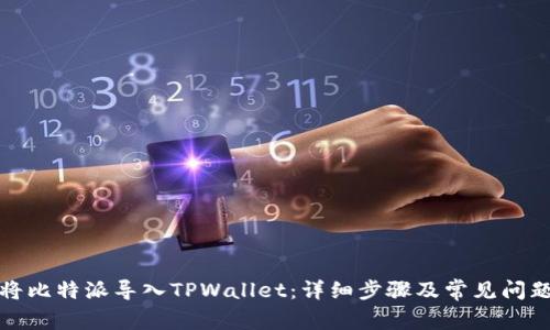 如何将比特派导入TPWallet：详细步骤及常见问题解答