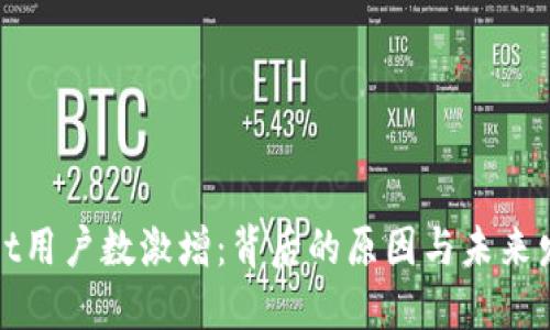 TPWallet用户数激增：背后的原因与未来发展趋势