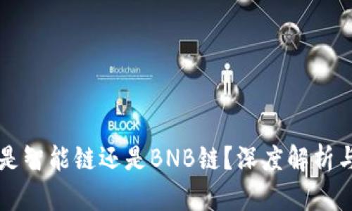 TPWallet是智能链还是BNB链？深度解析与功能对比