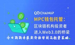 今日狗狗币最新价格分析及投资策略