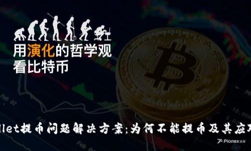 TPWallet提币问题解决方案：为何不能提币及其应对措施