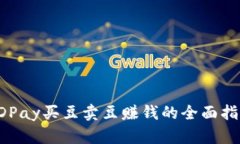 KDPay买豆卖豆赚钱的全面指南