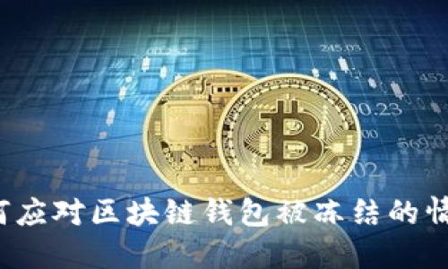 如何应对区块链钱包被冻结的情况？