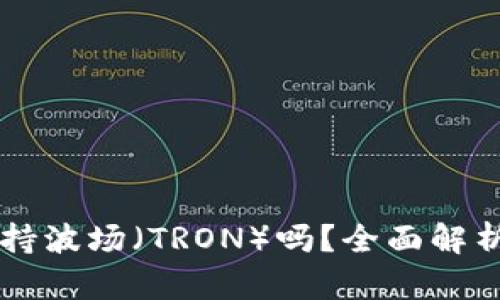 TPWallet支持波场（TRON）吗？全面解析与使用指南