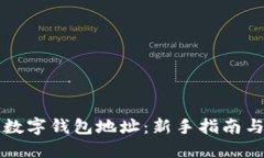 如何创建数字钱包地址：新手指南与最佳实践