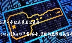 思考一个贴近并且优质的Topay钱包app下载：安全、