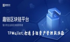  TPWallet：打造多链资产管理新体验