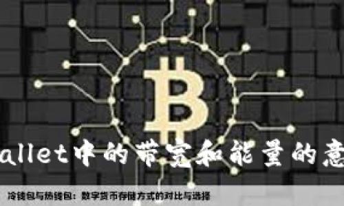 理解TPWallet中的带宽和能量的意义与应用