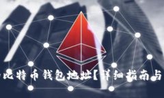 如何查看我的比特币钱包地址？详细指南与常见