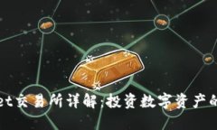 TPWallet交易所详解：投资数字资产的新选择