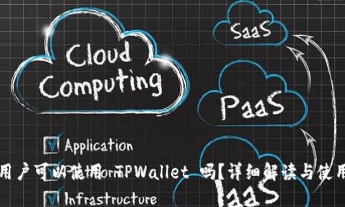 大陆用户可以使用 TPWallet 吗？详细解读与使用指南