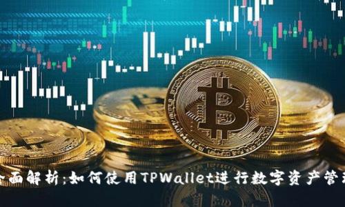 全面解析：如何使用TPWallet进行数字资产管理