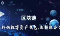  探索TPWallet以外的数字资产钱包，选择适合你的