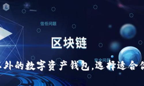  探索TPWallet以外的数字资产钱包，选择适合你的安全存储方案