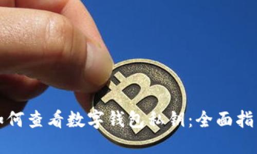 如何查看数字钱包私钥：全面指南