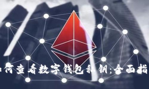 如何查看数字钱包私钥：全面指南