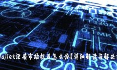TPWallet没有市场栏目怎么办？详细解读与解决方案
