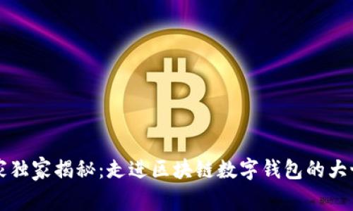 专家独家揭秘：走进区块链数字钱包的大世界