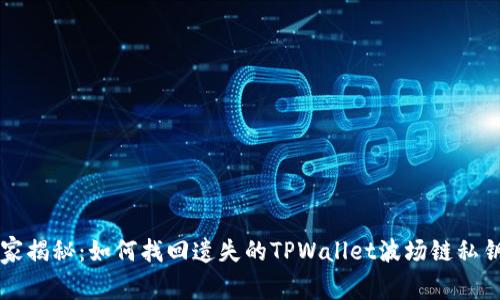 专家独家揭秘：如何找回遗失的TPWallet波场链私钥的秘诀
