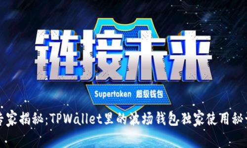 专家揭秘：TPWallet里的波场钱包独家使用秘诀