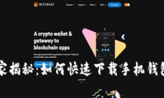 专家独家揭秘：如何快速下载手机钱包的秘诀