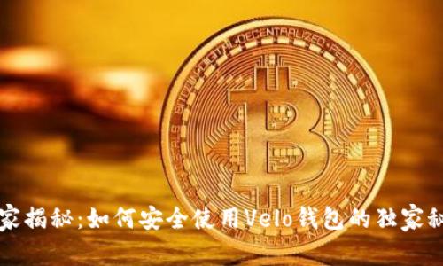 专家揭秘：如何安全使用Velo钱包的独家秘诀