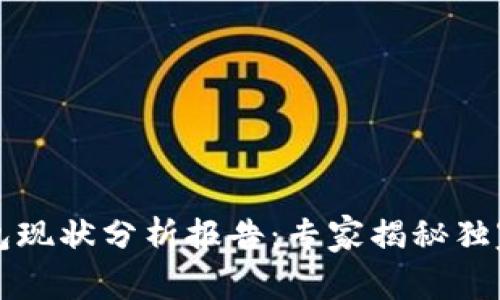 区块链钱包现状分析报告：专家揭秘独家使用秘诀