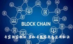 专家独家揭秘：虚拟币观察钱包使用秘诀