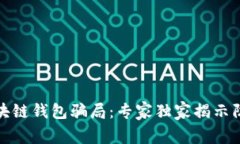 揭秘区块链钱包骗局：专家独家揭示防范秘诀