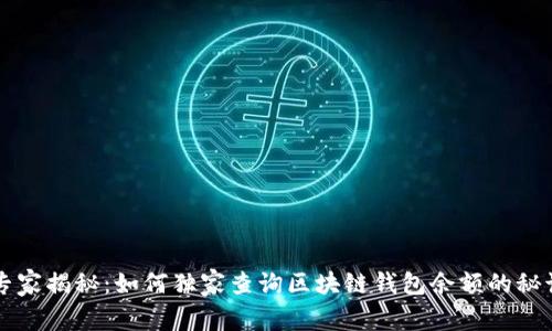 专家揭秘：如何独家查询区块链钱包余额的秘诀