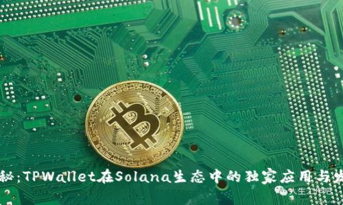 专家揭秘：TPWallet在Solana生态中的独家应用与发展秘诀