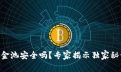 TPWallet中的资金池安全吗？专家揭示独家秘诀，让