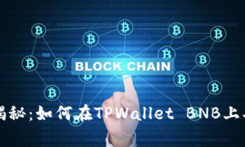 专家独家揭秘：如何在TPWallet BNB上买币的秘诀