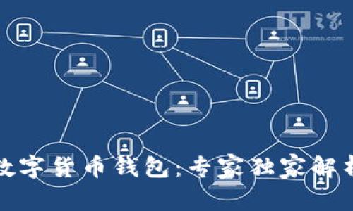 揭秘中国数字货币钱包：专家独家解析使用秘诀