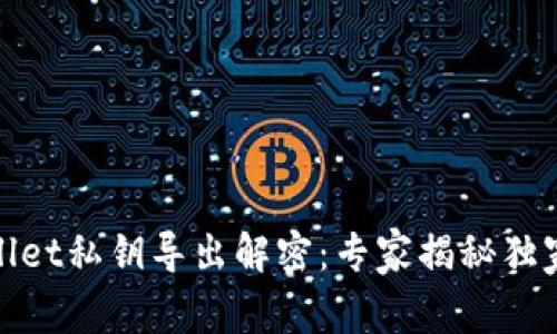 tpwallet私钥导出解密：专家揭秘独家秘诀