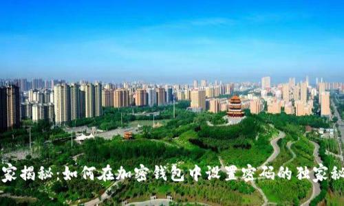 专家揭秘：如何在加密钱包中设置密码的独家秘诀