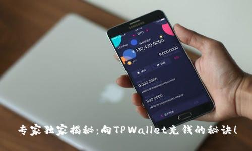 专家独家揭秘：向TPWallet充钱的秘诀！